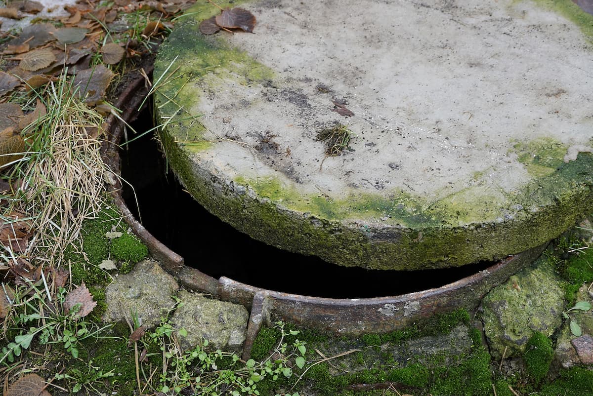 green moss septic tank